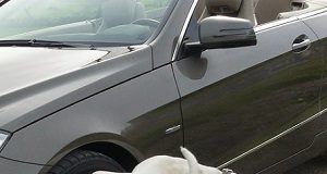 Cachorro fazendo xixi em roda de carro