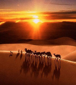 Deserto