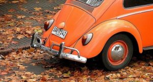 Fusca laranja