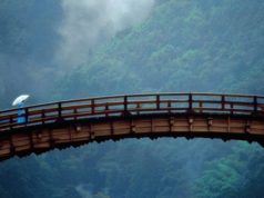 Ponte de madeira sobre floresta