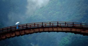 Ponte de madeira sobre floresta