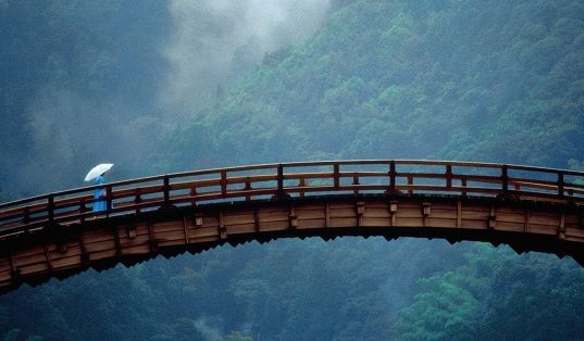 Ponte de madeira sobre floresta