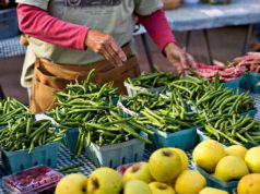 Feirante manipulando vegetais